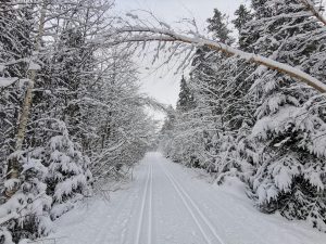 Kiinteistönhoito