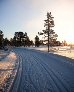 kiinteistön ylläpito